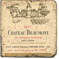 French Wine Tumbled Marble Coaster