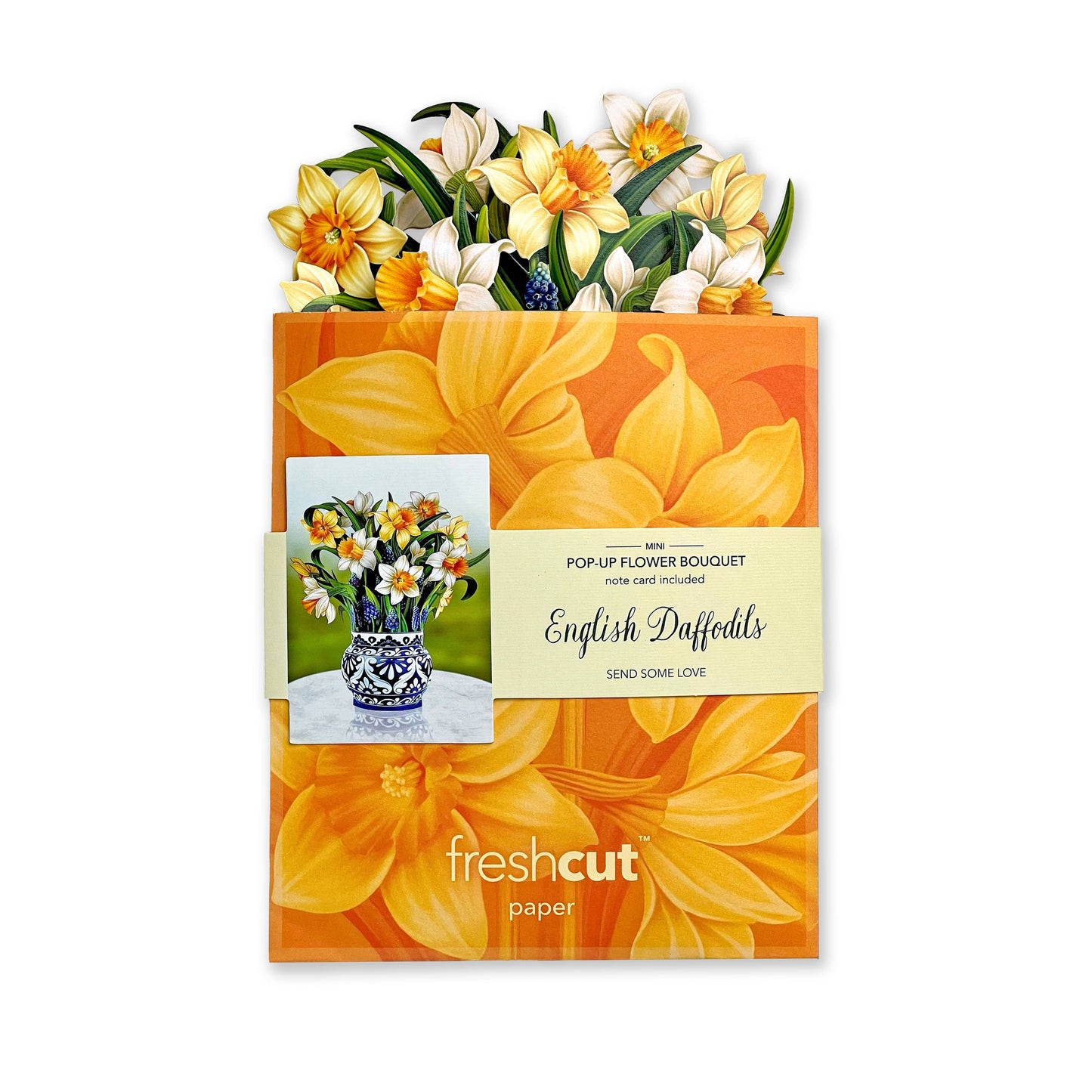 Mini English Daffodils Pop-up Greeting Cards