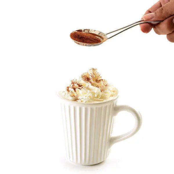 NORPRO POWDERED SUGAR SPOON Cooks Tools Browns Kitchen