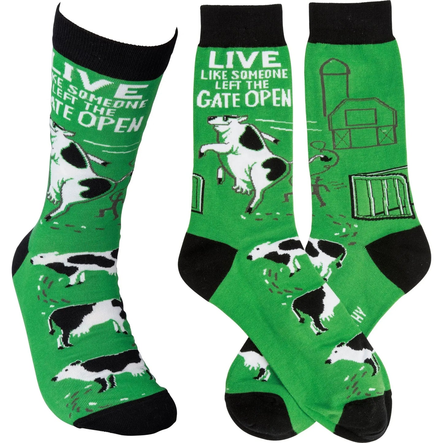 Primitives By Kathy - "Gate Open" Socks PRIMITIVES BY KATHY