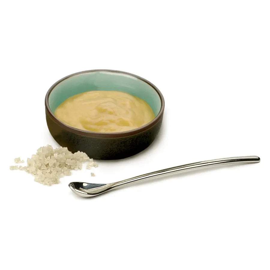 Salt Condiment Spoon - Browns Kitchen
