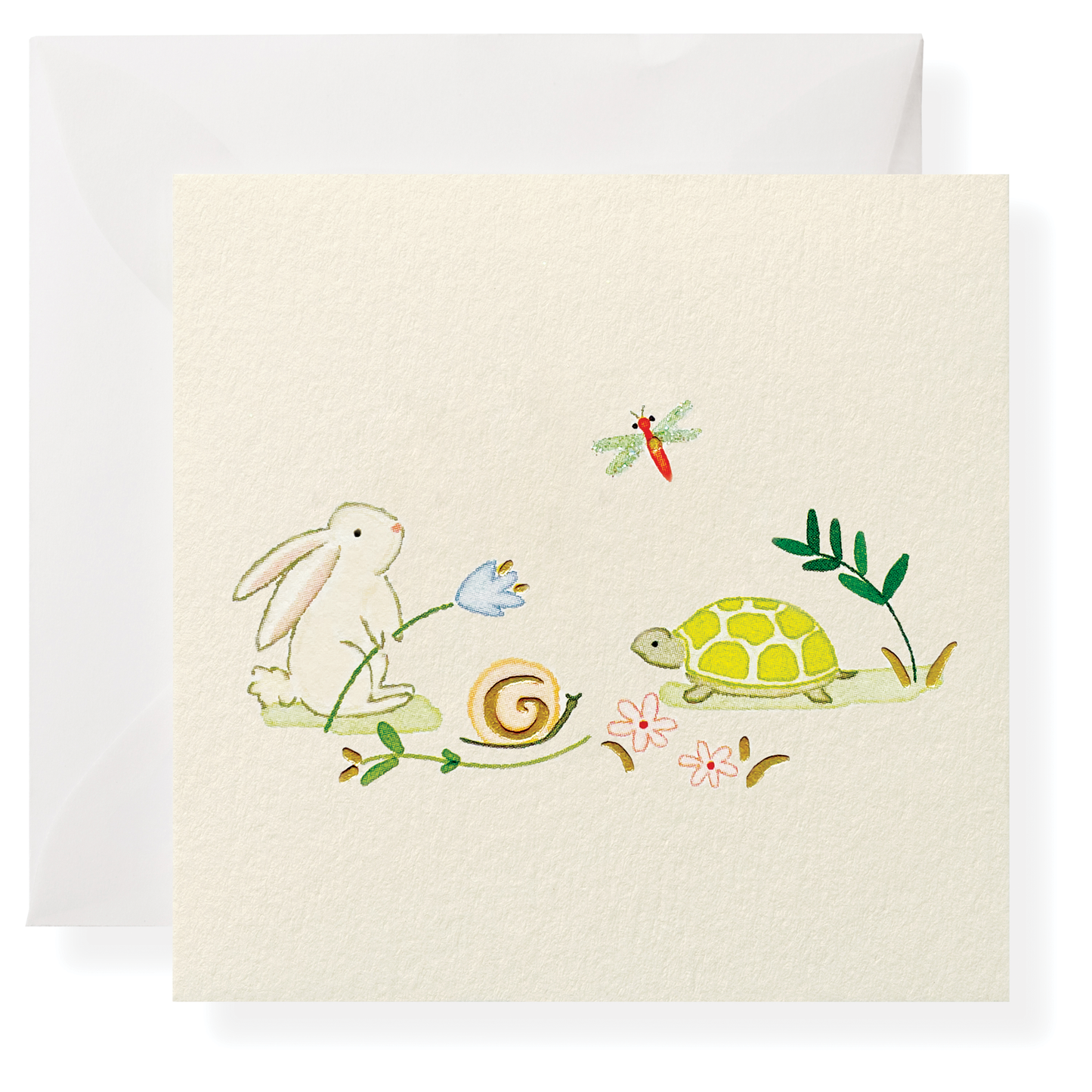 Turtle and a Hare Individual Gift Enclosure Browns Kitchen