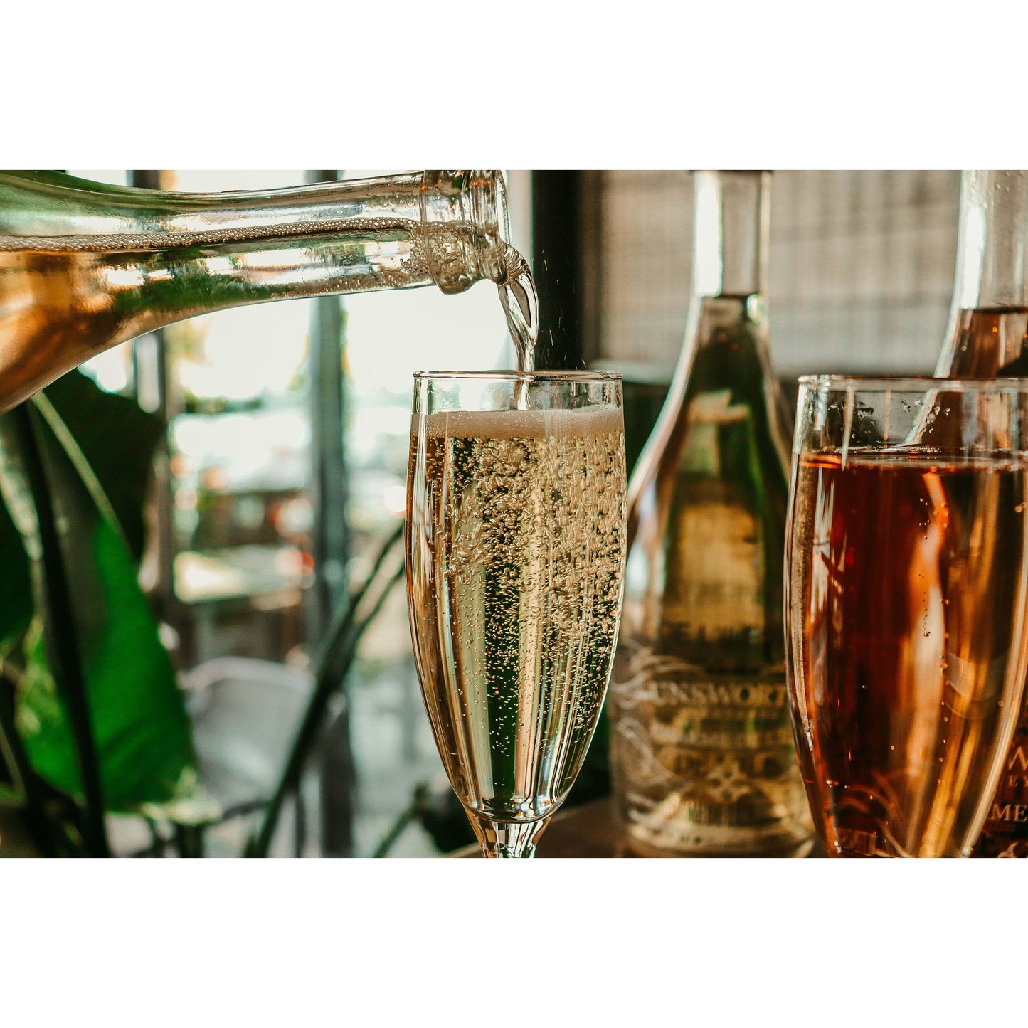 Pop, Fizz, Clink! A Sparkling Wine Celebration