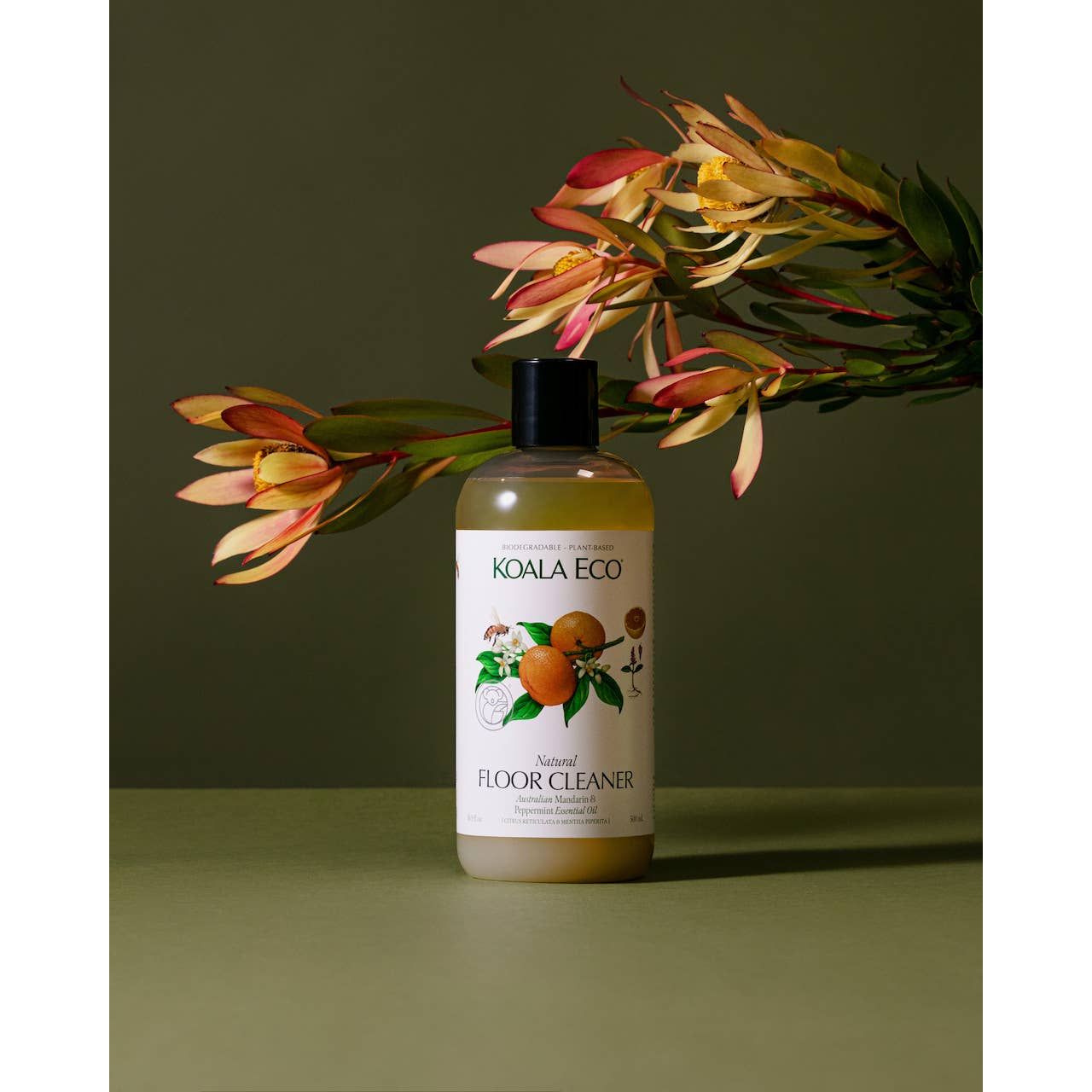 Mandarin & Peppermint Floor Cleaner