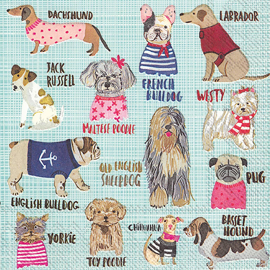 Paper Cocktail Napkins Pack of 20 Hot Dogs