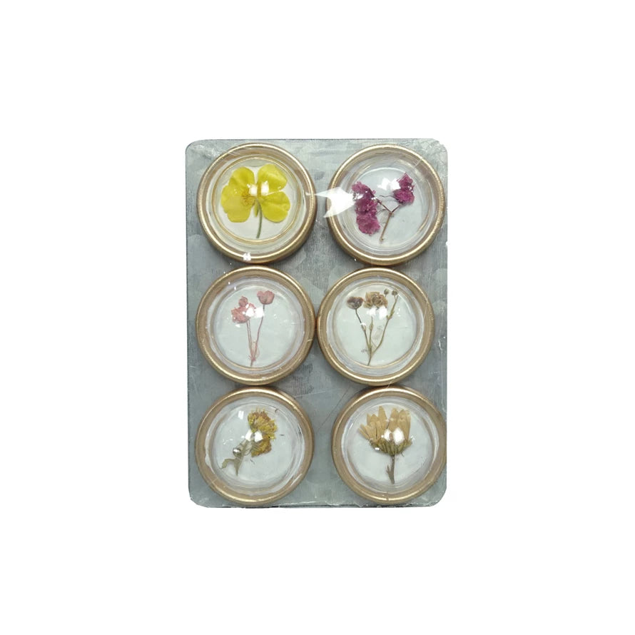 Resin Botanical Magnets on Metal Card, Set of 6