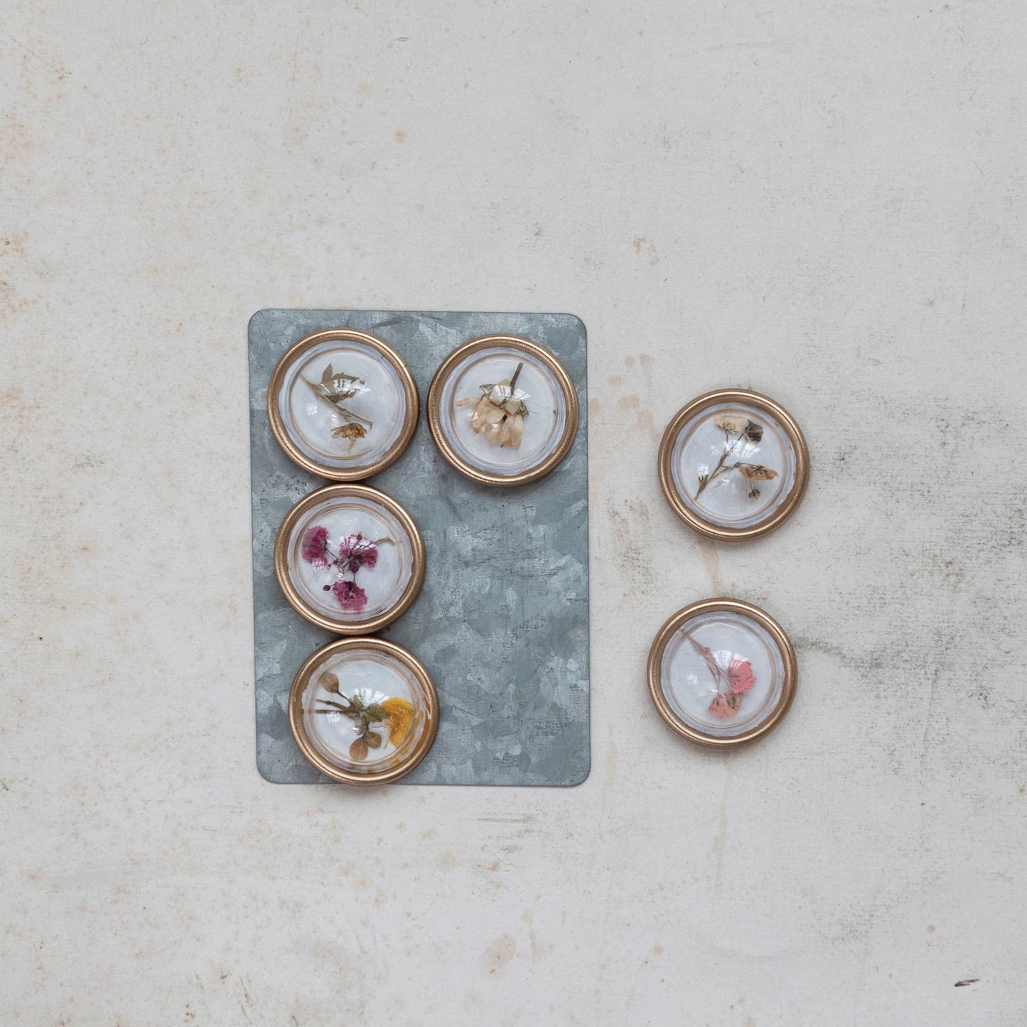 Resin Botanical Magnets on Metal Card, Set of 6