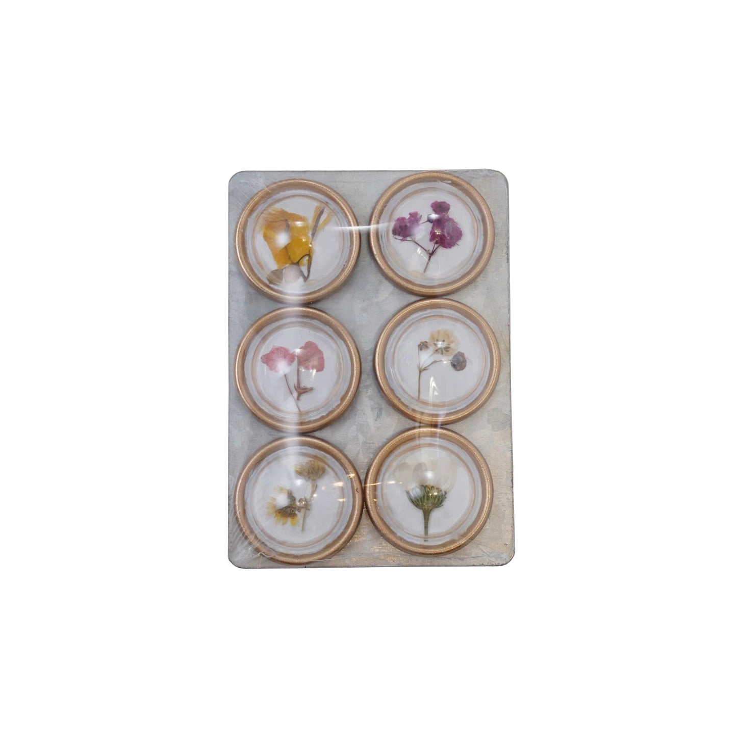 Resin Botanical Magnets on Metal Card, Set of 6