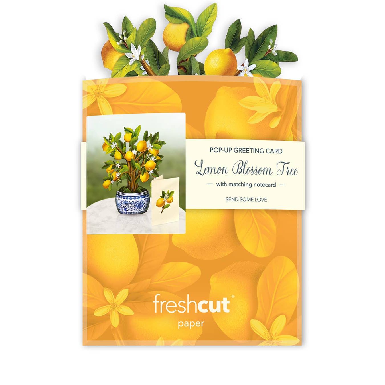 Mini Lemon Blossom Tree Pop Up Greeting Cards