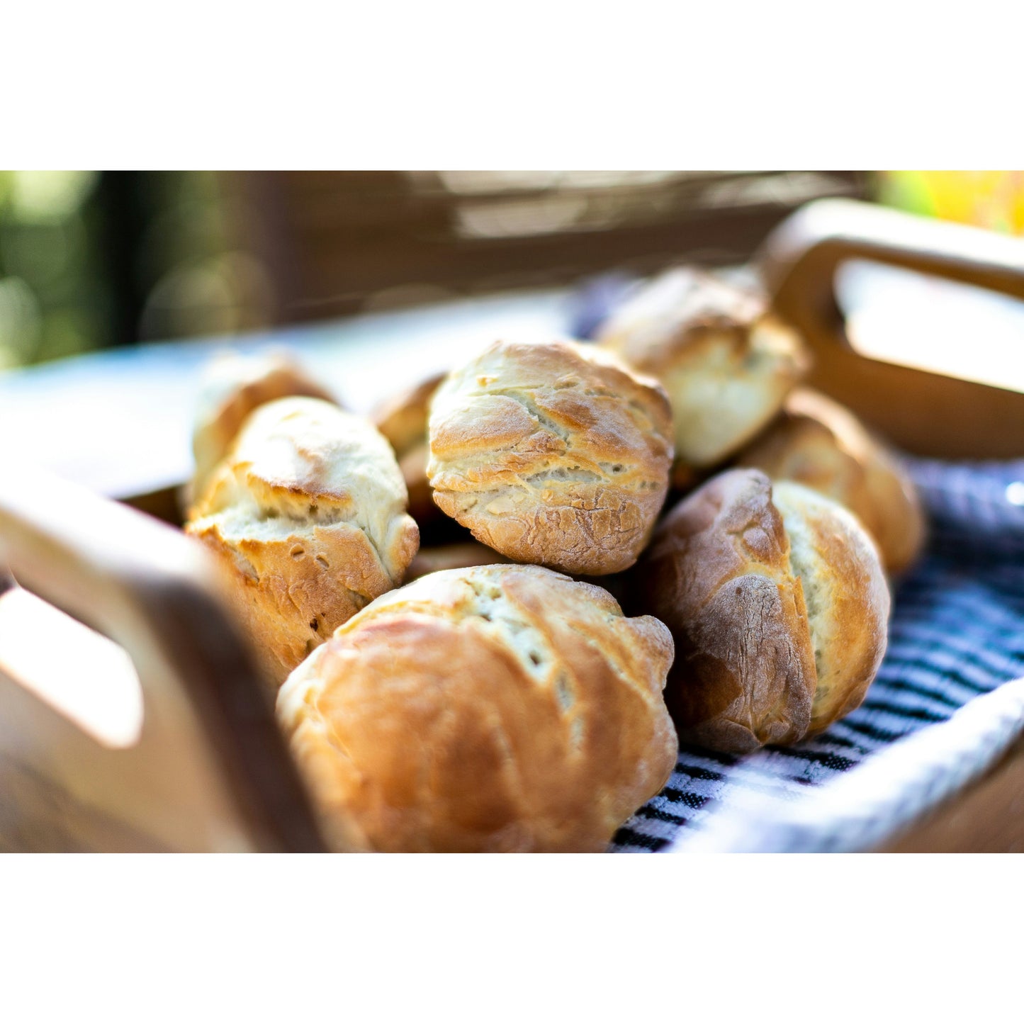Bread Baking Basics: Dinner Rolls
