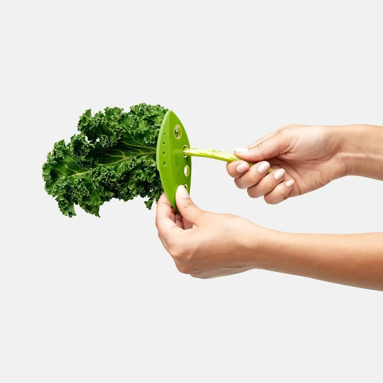 Chef N' Kale + Greens Stripper LIFETIME BRANDS