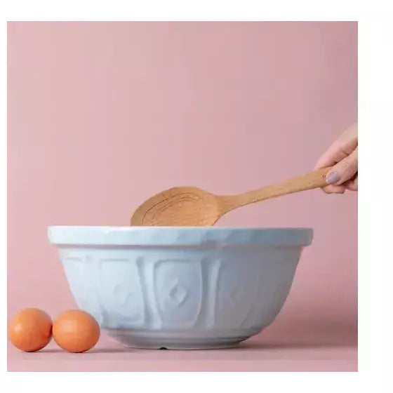 Mason Cash S12 Powder Blue Mixing Bowl 29cm TYPHOON