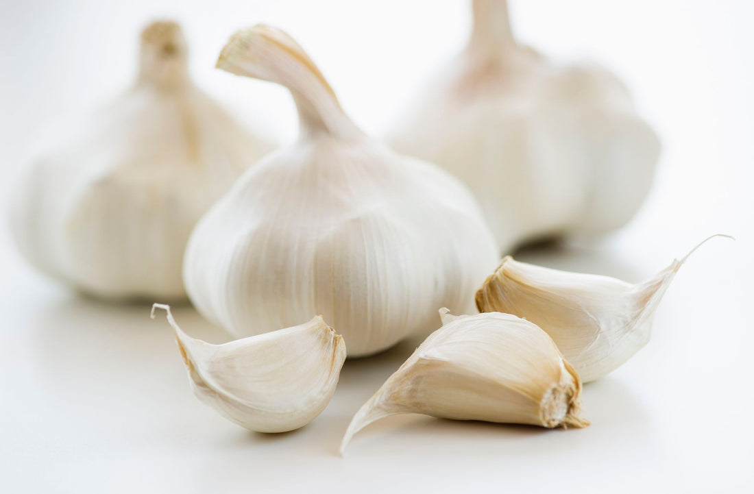 Ask the Expert: The Best Garlic Tool For a Mess-Free Experience Browns Kitchen