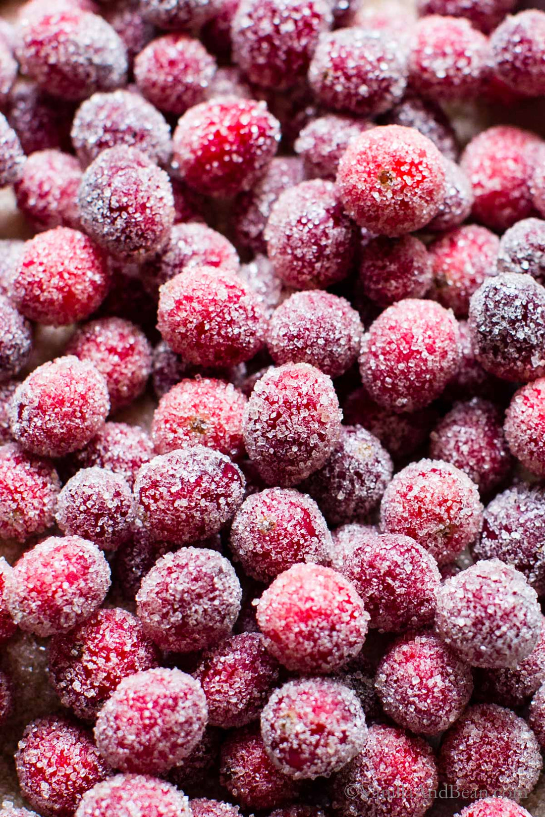 How-To-Make-Festive-Sugared-Cranberries-For-Garnishing Browns Kitchen
