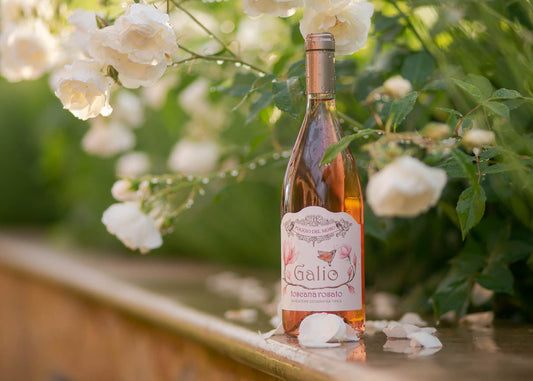 Spring 2026 Featured Wines
