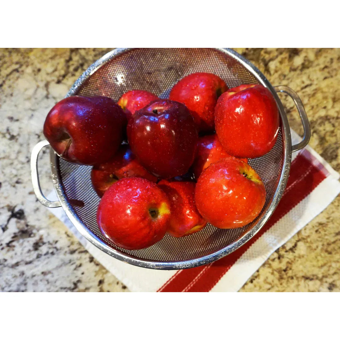 Stainless Steel 5 QT Precision Pierced Colander