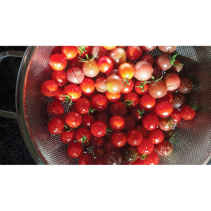 Stainless Steel 5 QT Precision Pierced Colander