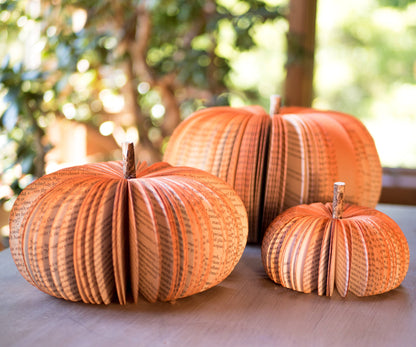 Halloween Decor- Fall Pumpkin- Eco-Friendly Book Decor