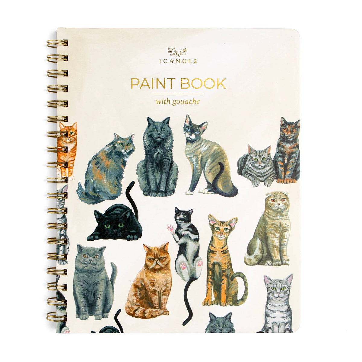 Feline Friends Cats Learn-To-Paint Gouache Paint Book