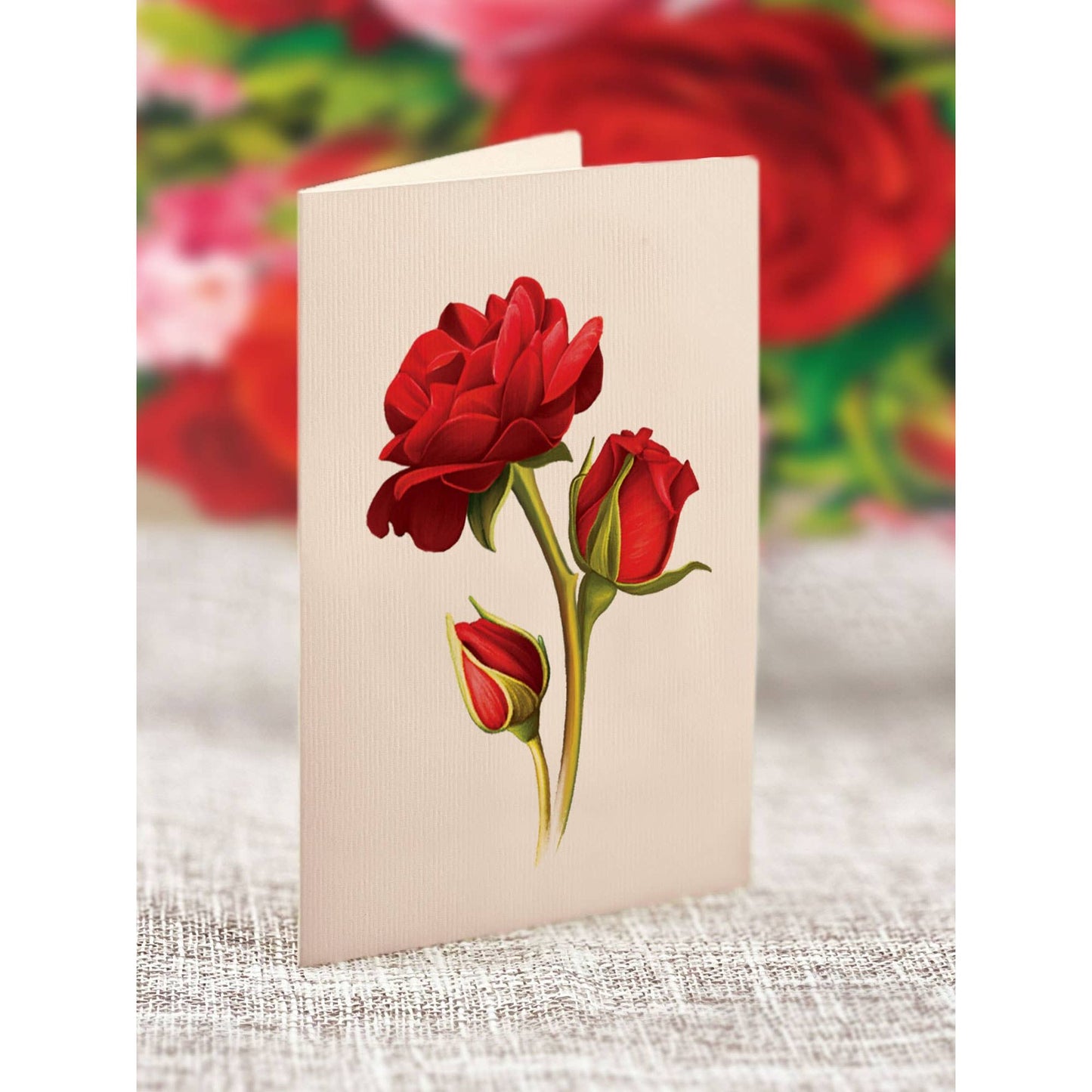 Mini Blooming Roses Pop Up Greeting Cards