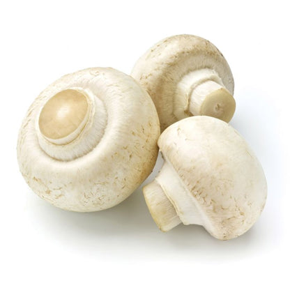 Mushroom Cleaning Brush