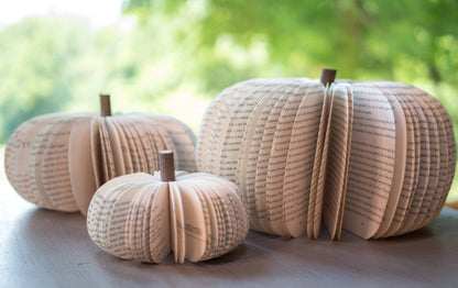 Halloween Decor Pumpkin- Fall Thanksgiving Tabletop Decor