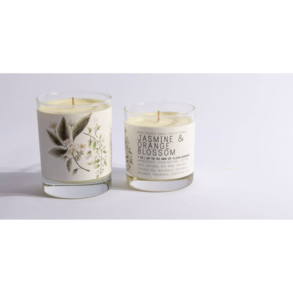 Jasmine & Orange Blossom - Medium Glass  - Just Bee Candle