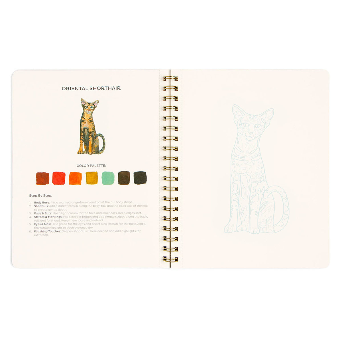 Feline Friends Cats Learn-To-Paint Gouache Paint Book