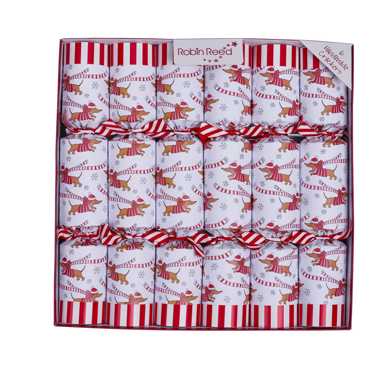 Racing Sausage Dog English Party Crackers