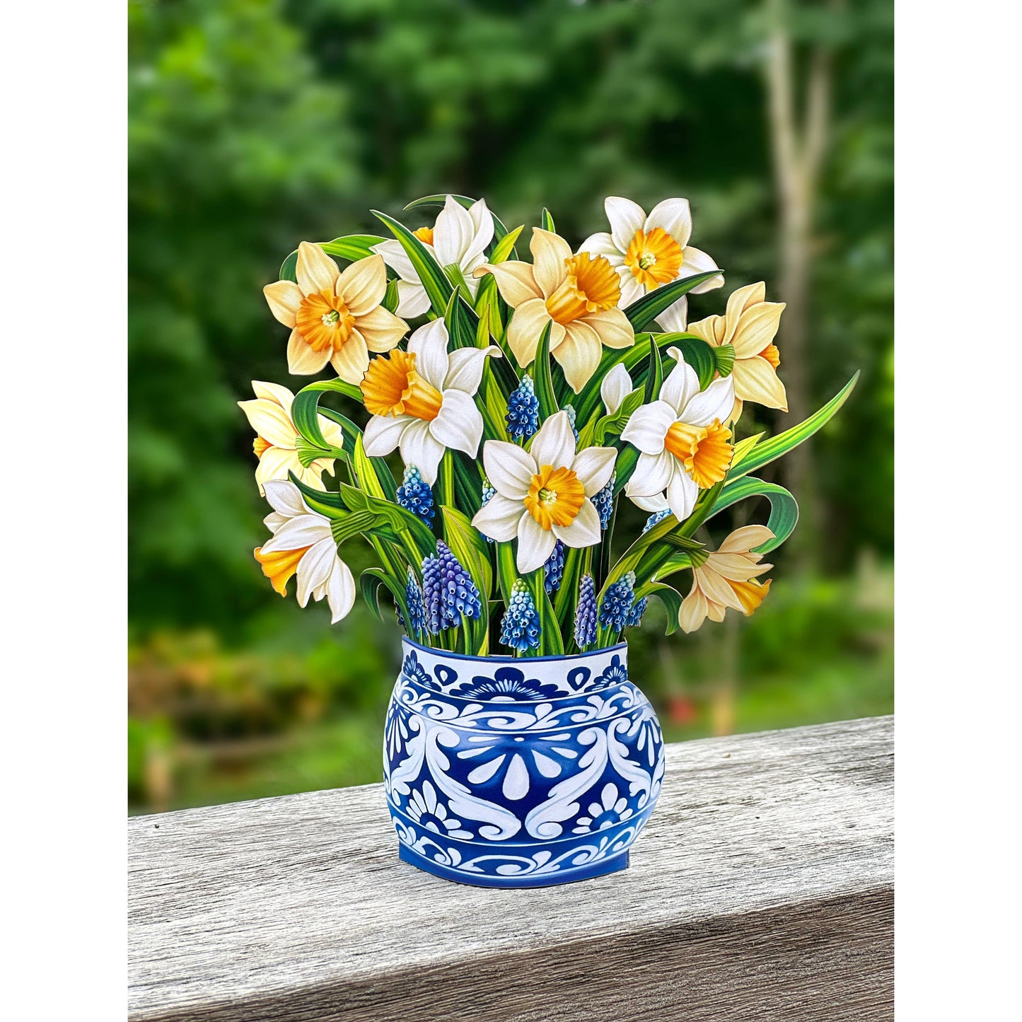 Mini English Daffodils Pop-up Greeting Cards