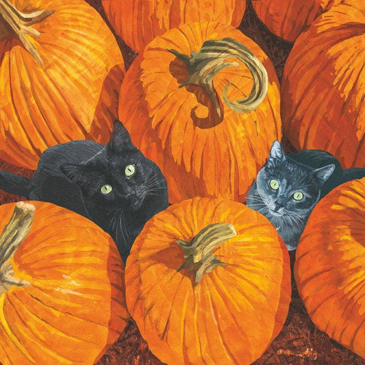 Pumpkin Patch Cats Paper Cocktail Napkins