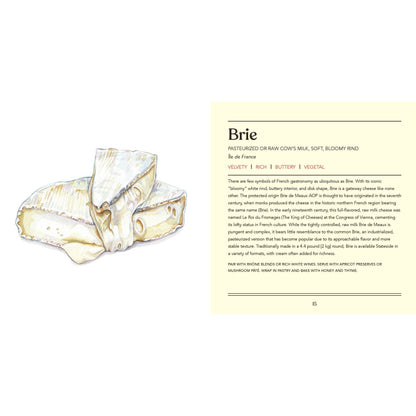 Cheese, Illustrated