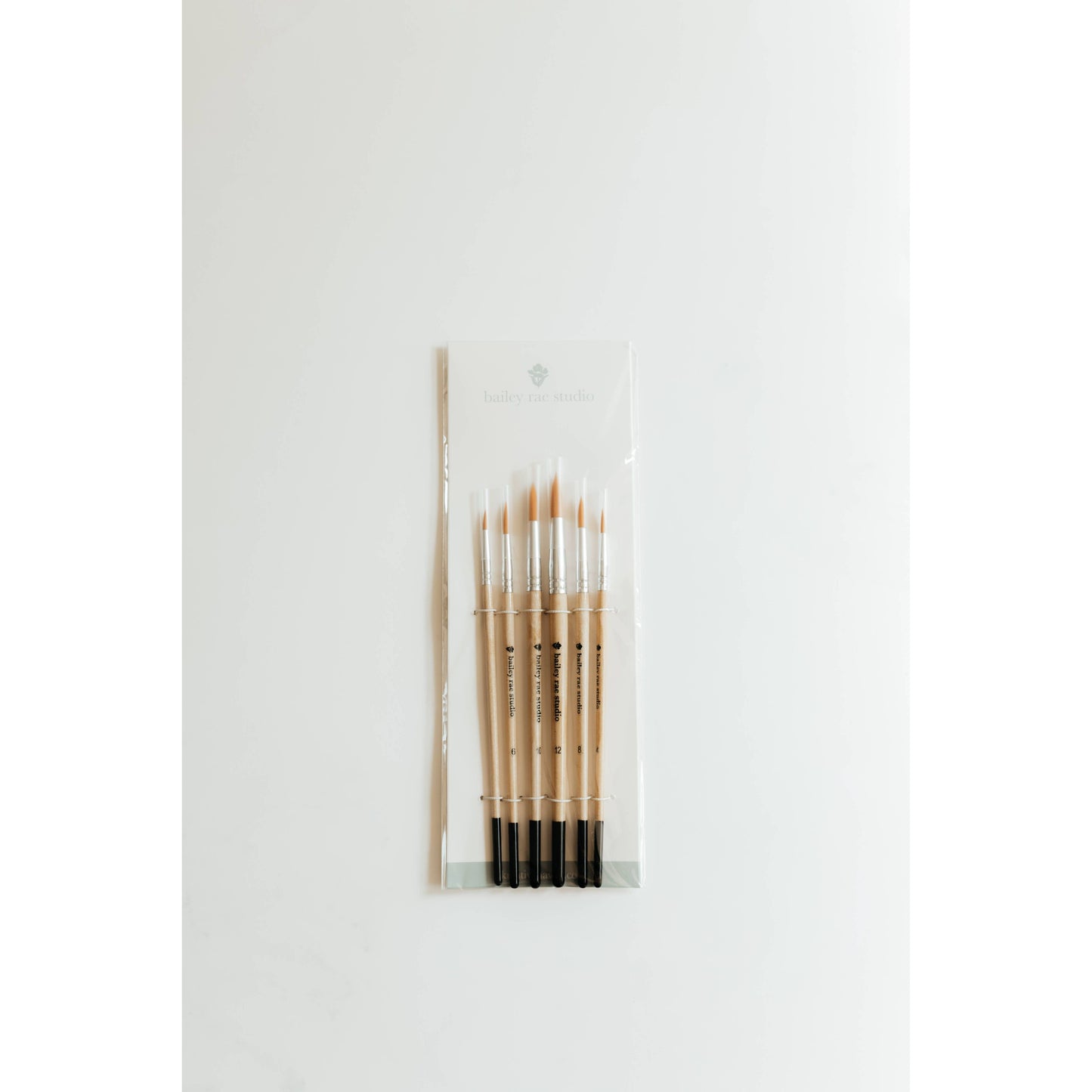 Round Tip Watercolor Brush Set -- 6 piece