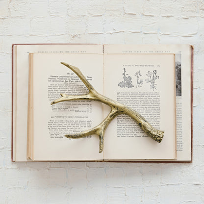 Cast Iron Antler, Distressed Gold Finish
