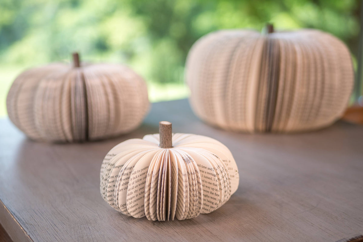 Halloween Decor Pumpkin- Fall Thanksgiving Tabletop Decor