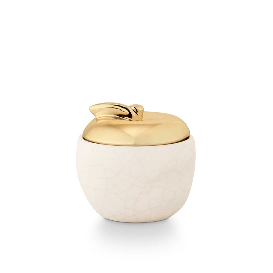 Tried & True Pumpkin Crabapple Ceramic Apple Candle