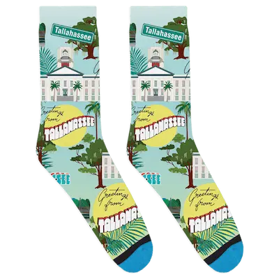 Greetings From Tallahassee Socks DivvyUp Socks