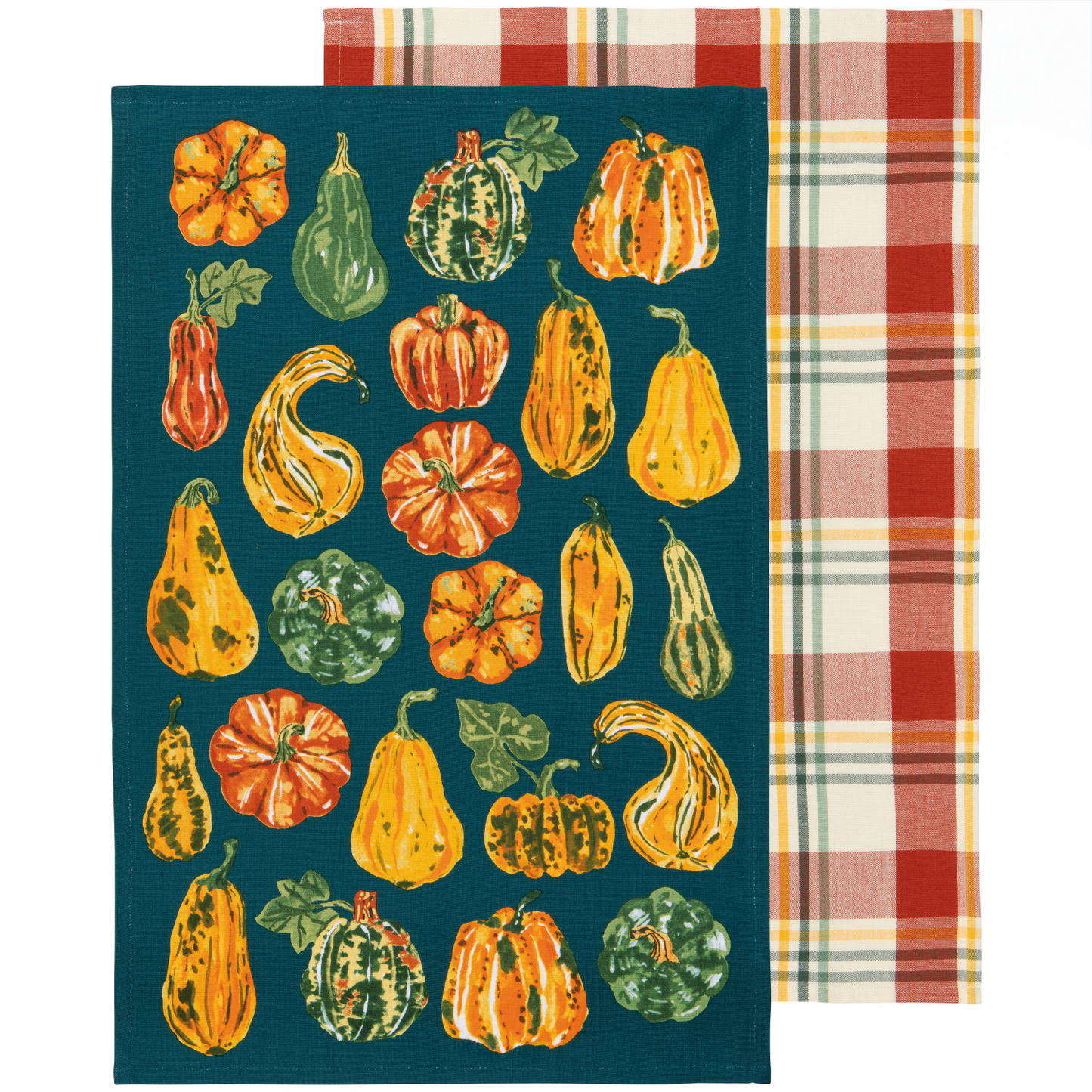 Harvest Gourds Dishtowels Set of 2