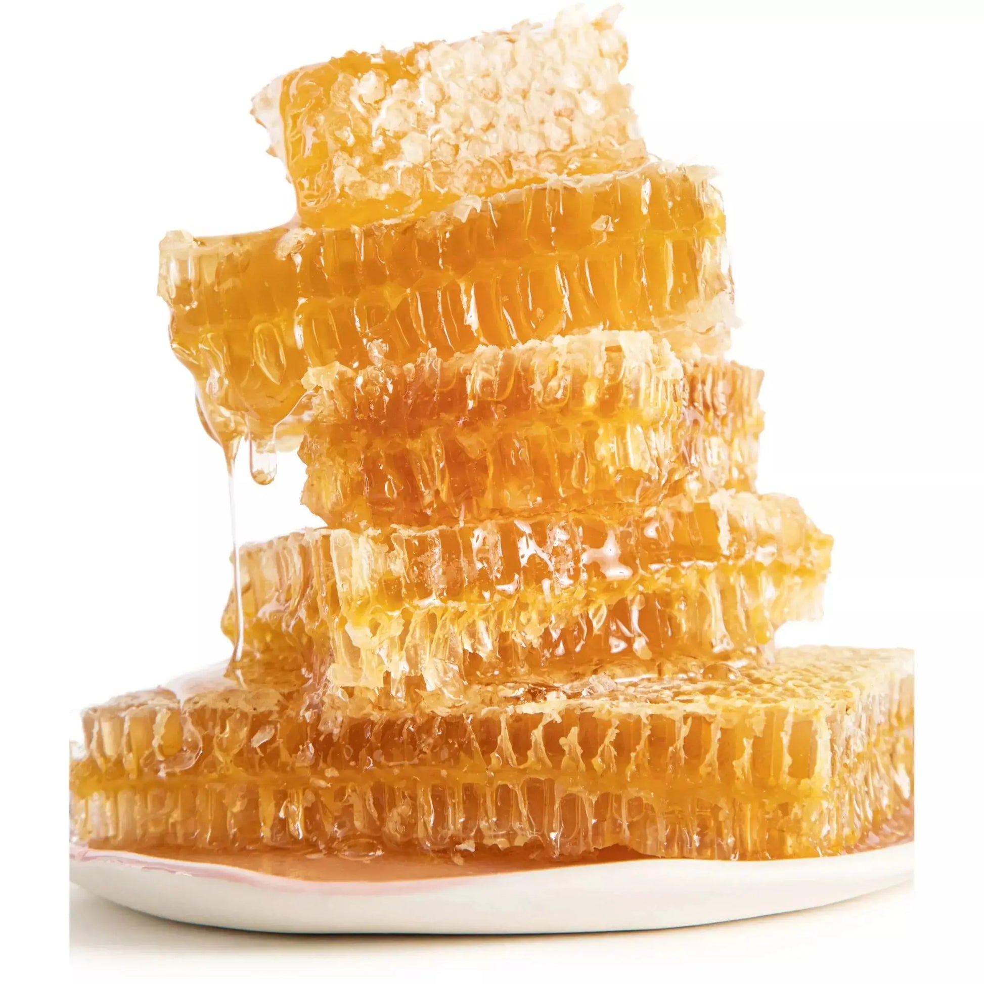 Savannah Bee Raw Honeycomb SAVANNAH BEE COMPANY