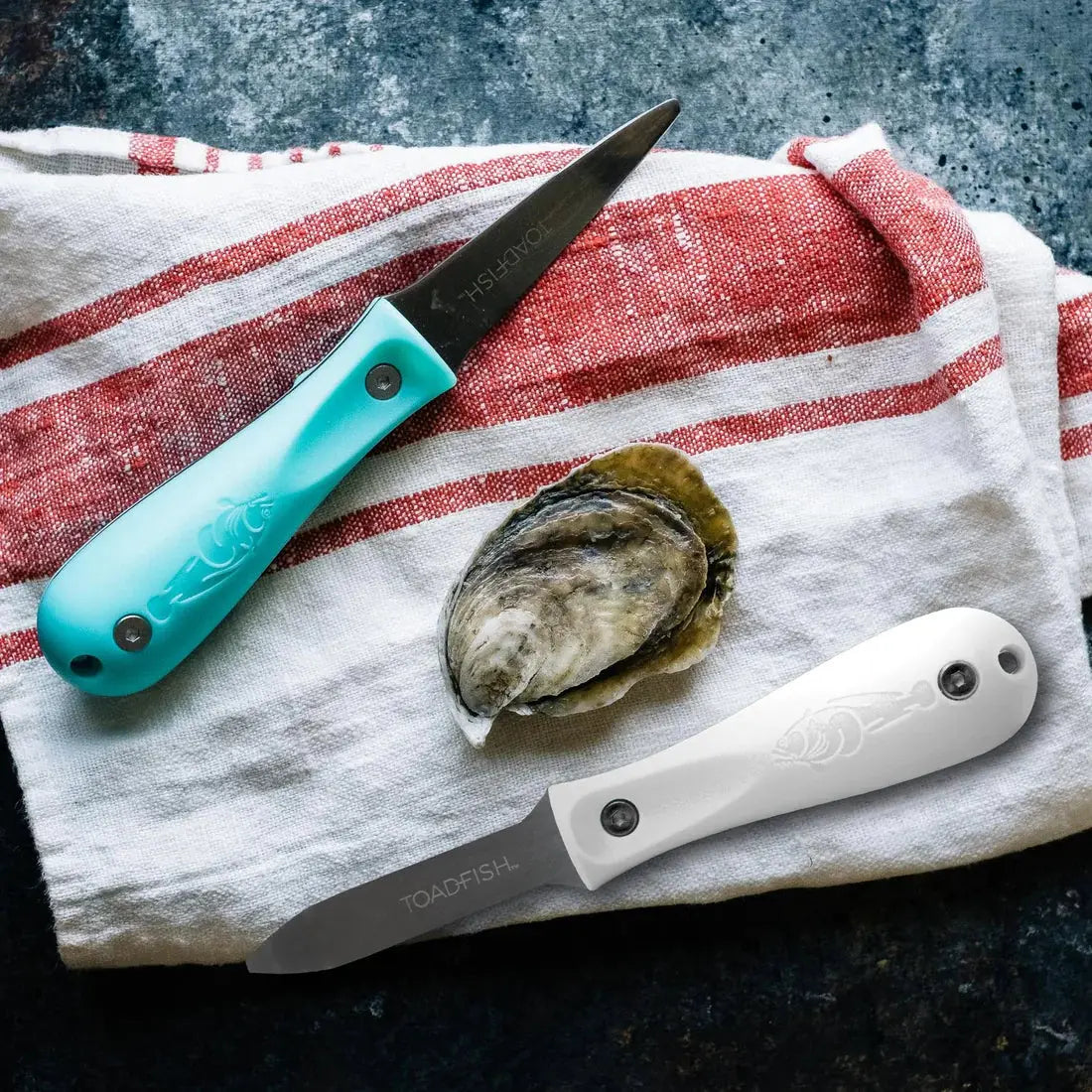 TOADFISH TEAL OYSTER KNIFE Cooks Tools Browns Kitchen