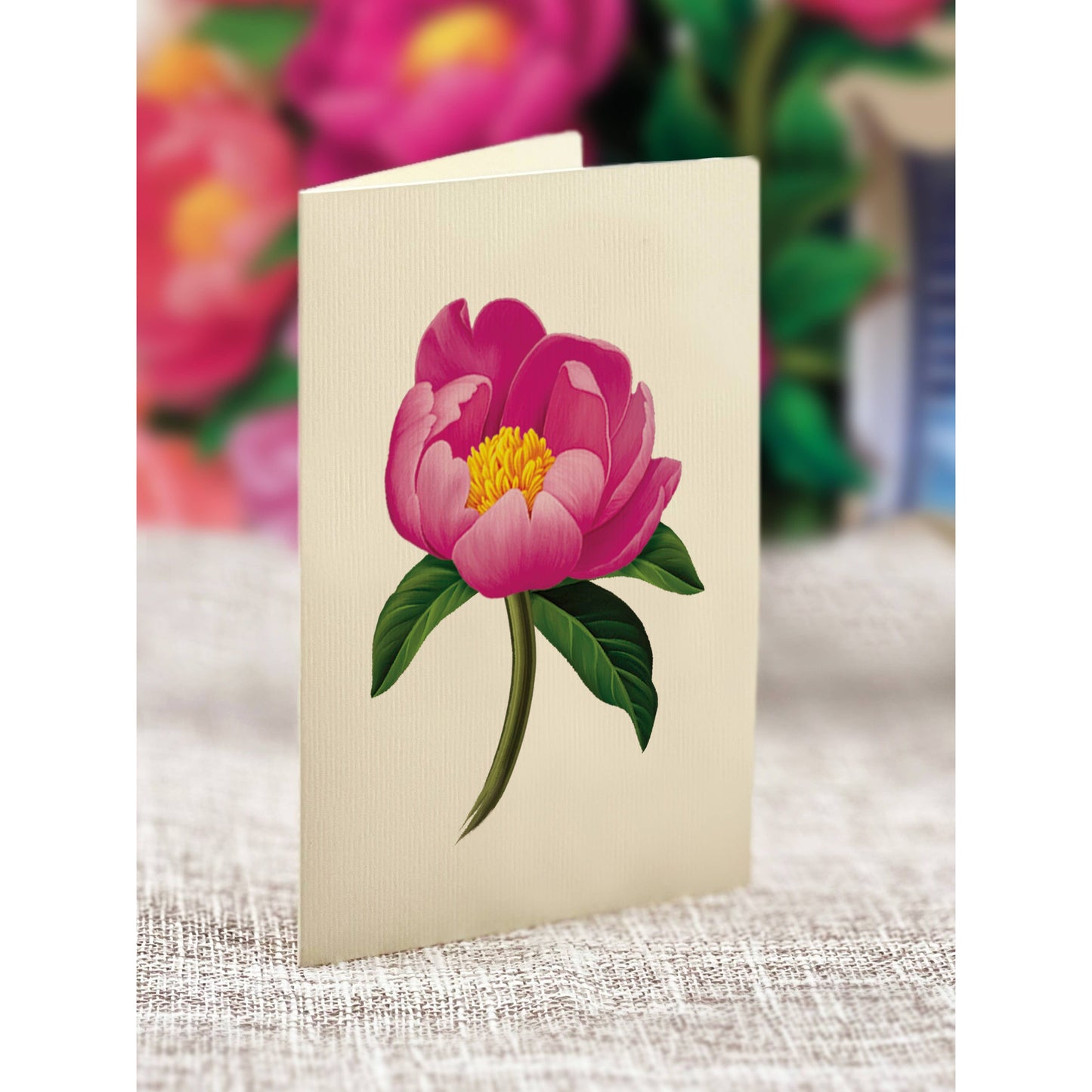 Peony Paradise Pop-up Greeting Cards