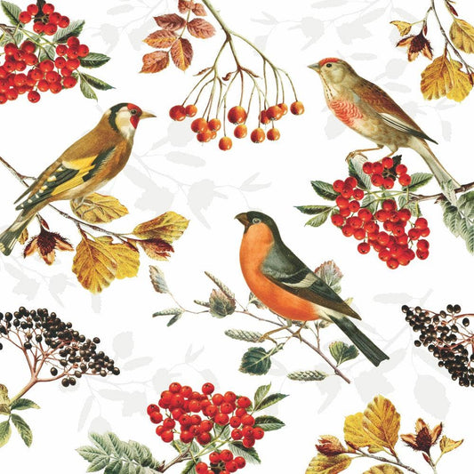 Autumn Birds Paper Cocktail Napkin