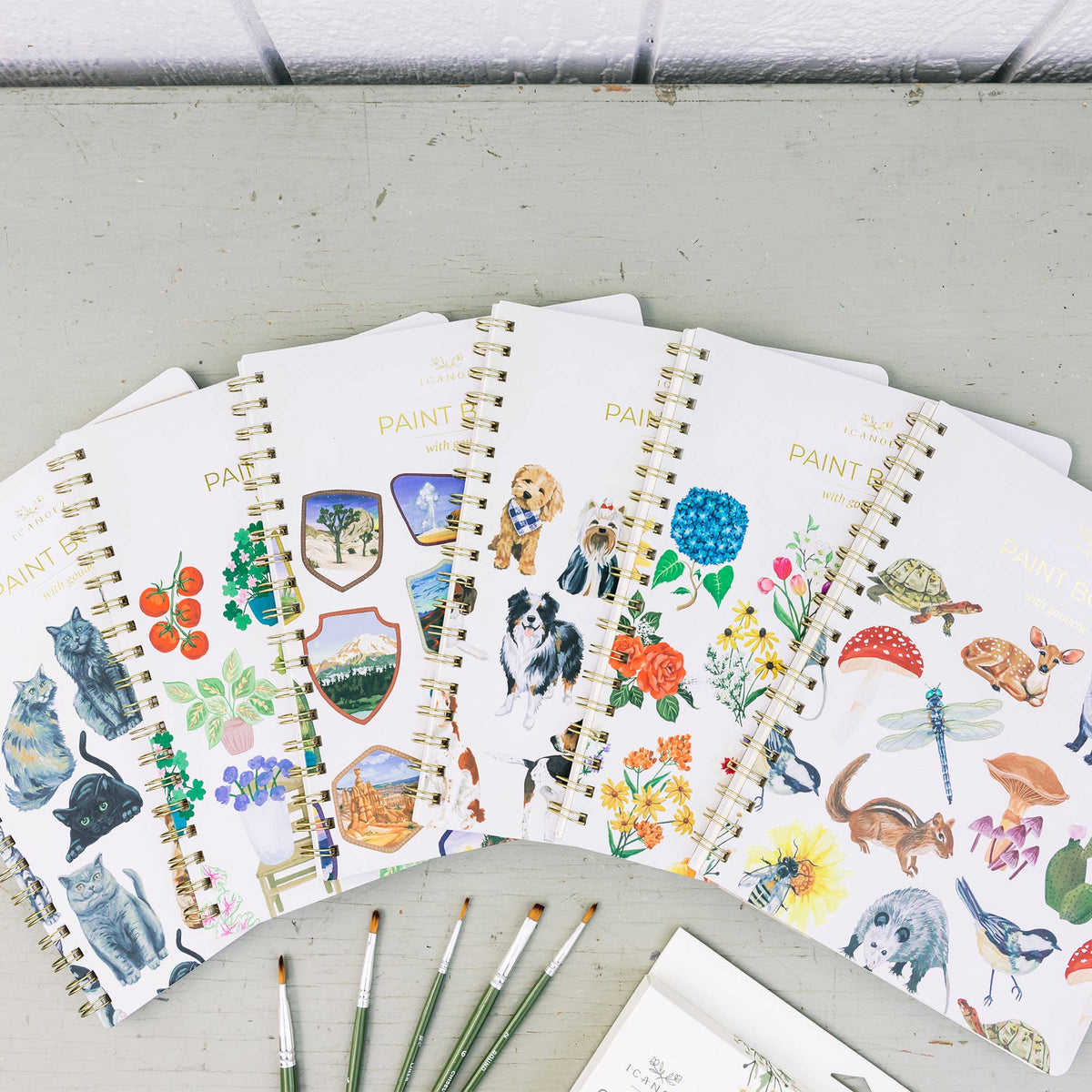 Flora & Fauna Learn-To-Paint Gouache Paint Book