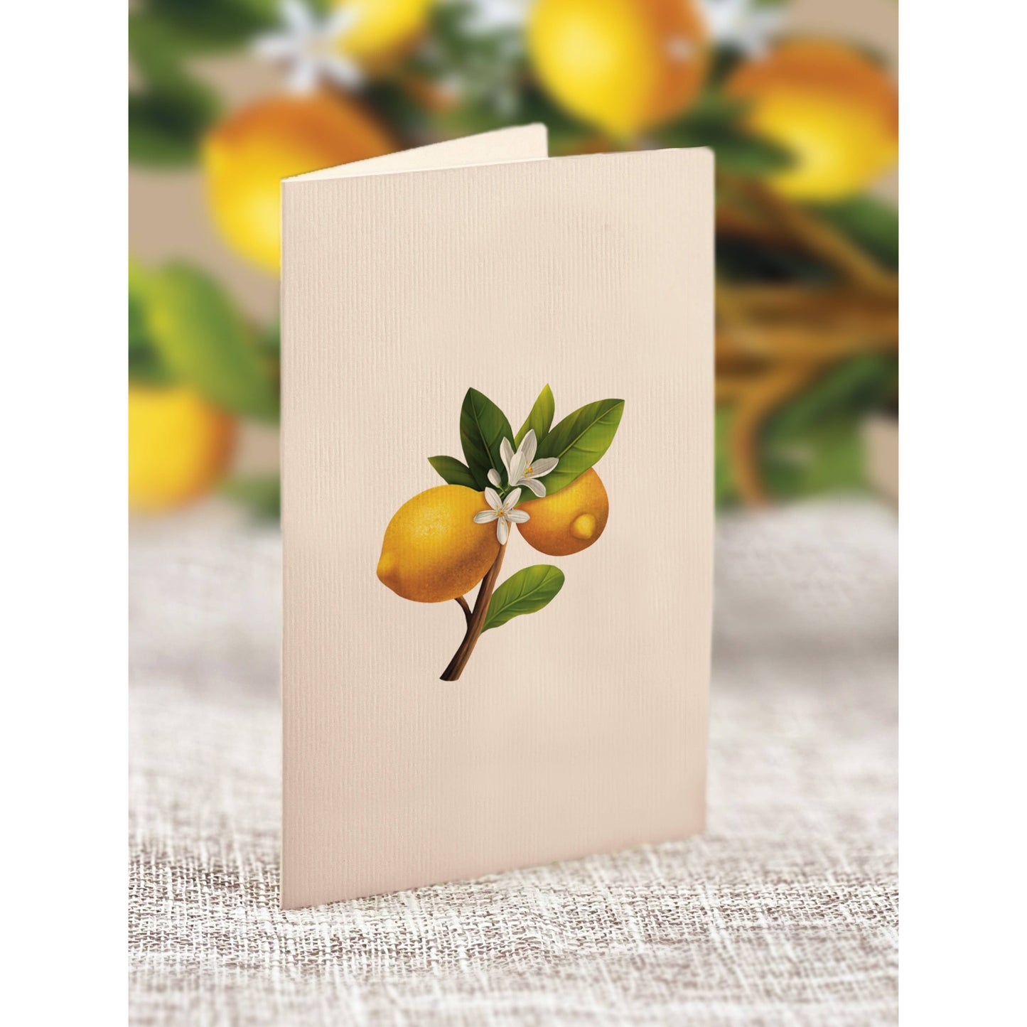 Mini Lemon Blossom Tree  Pop Up Greeting Cards