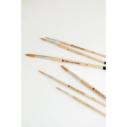Round Tip Watercolor Brush Set -- 6 piece
