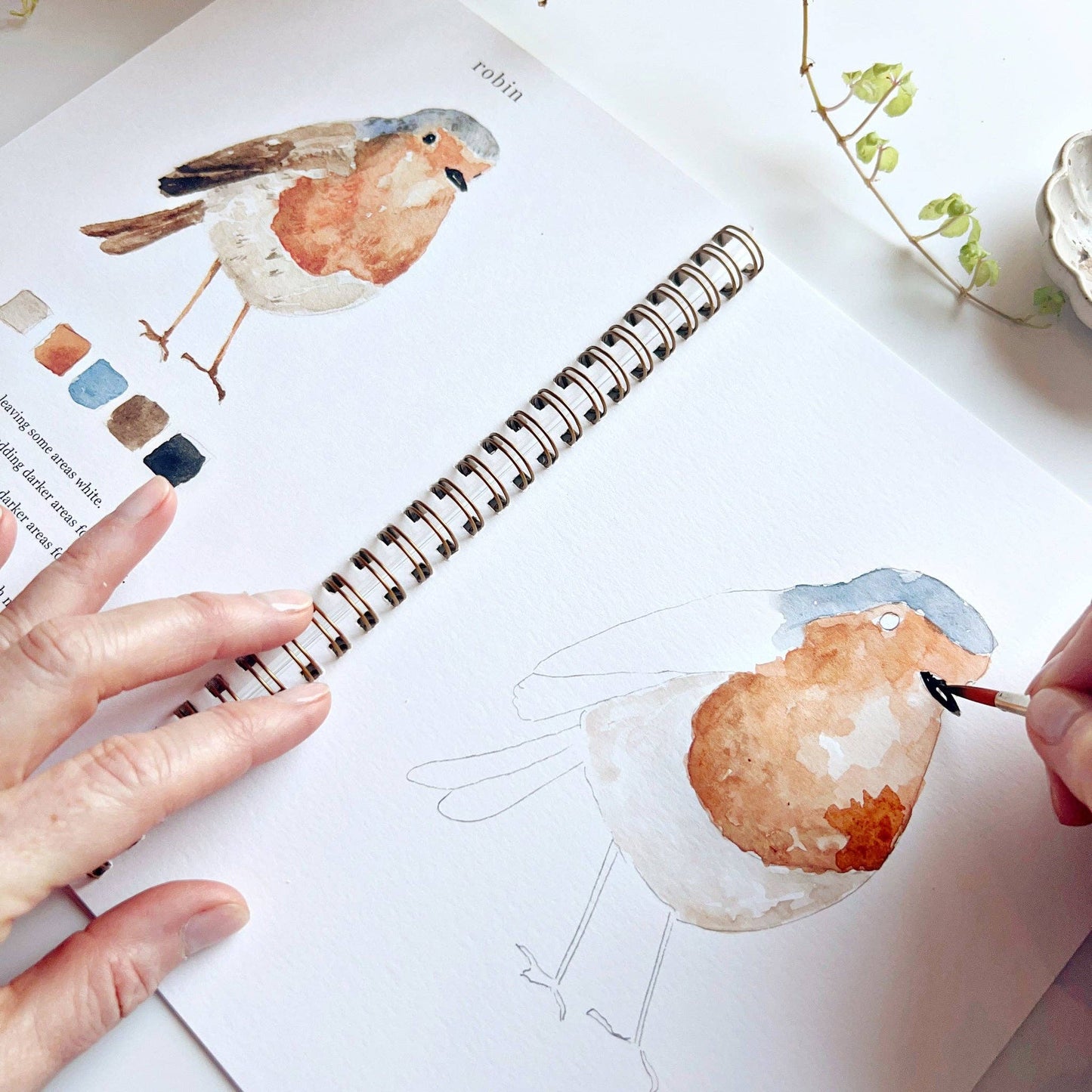 Birds watercolor workbook