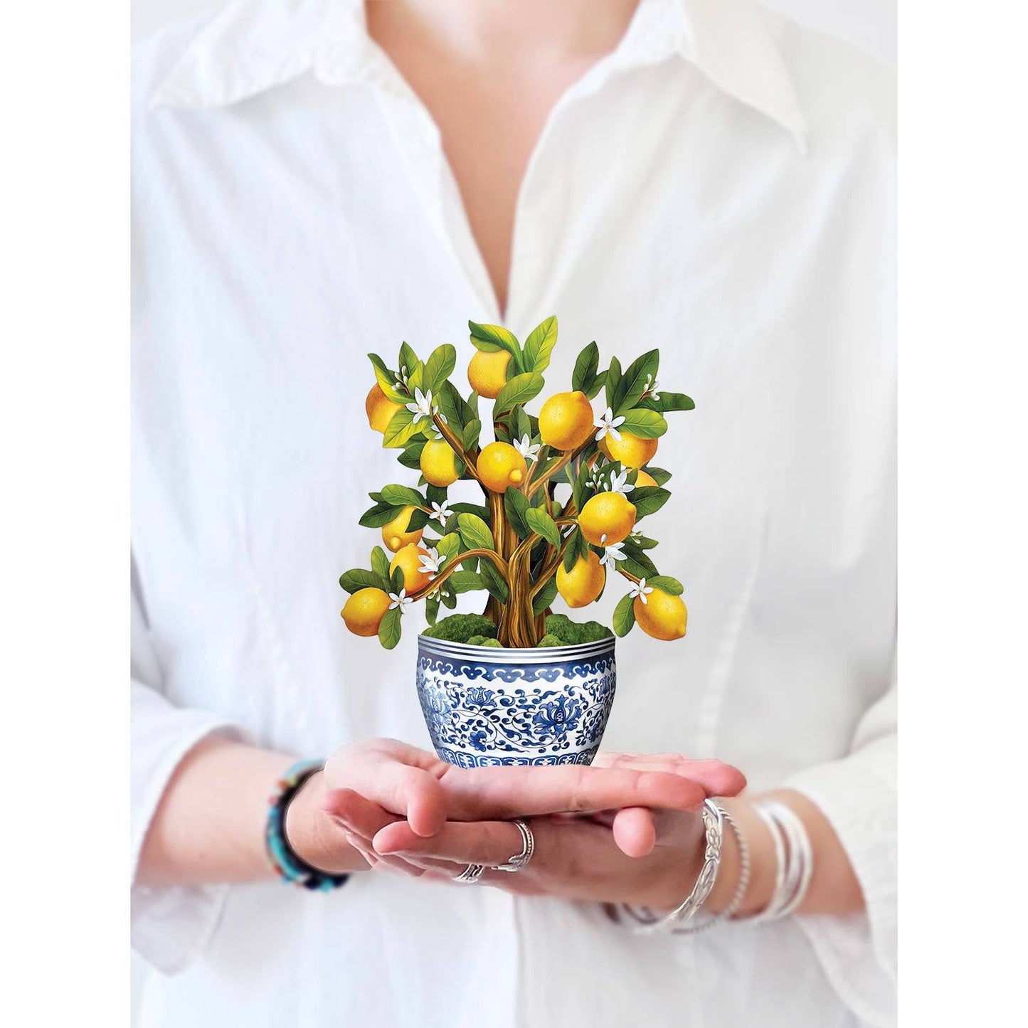 Mini Lemon Blossom Tree  Pop Up Greeting Cards