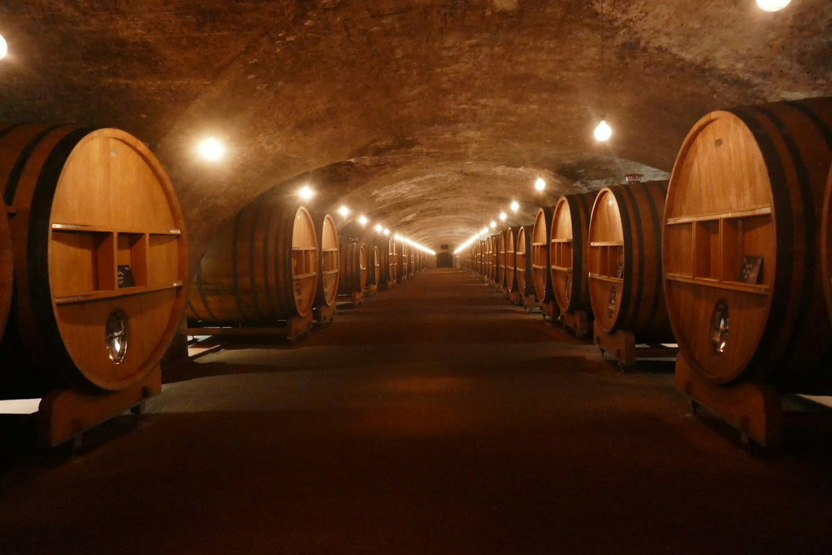 The Hills of Beaujolais: From Village Gamay to Cru Wine Tasting