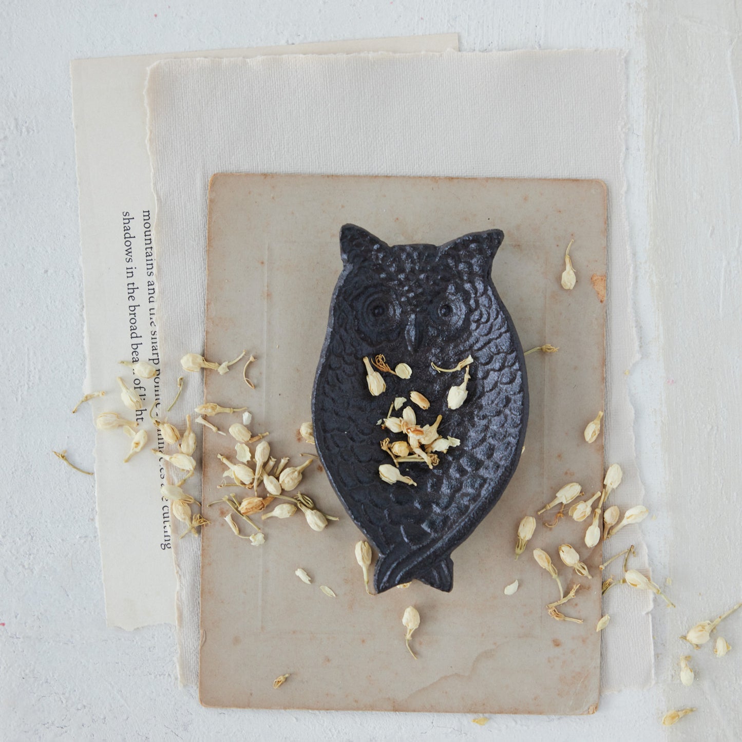 Decorative Cast Iron Owl Shaped Dish