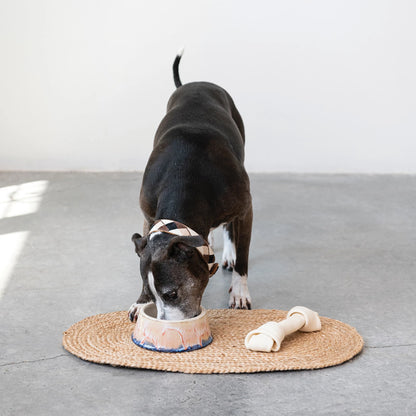 Reactive Glaze Stoneware Pet Bowl